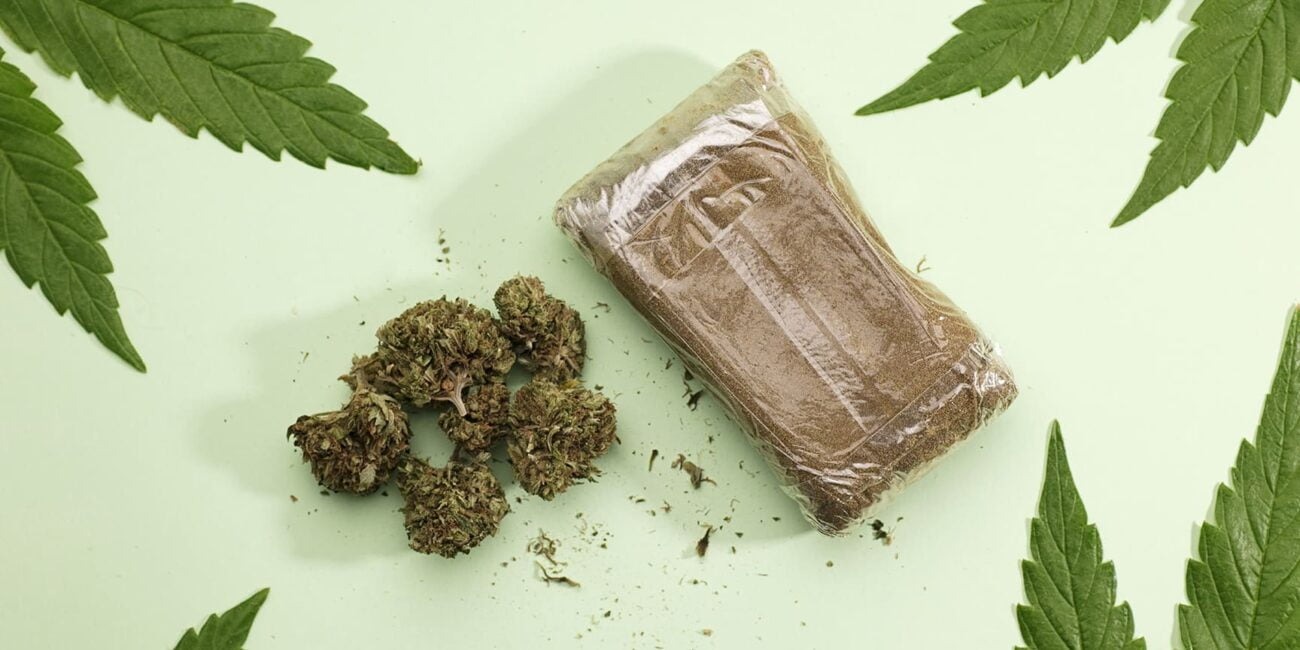 Close-up of premium hashish types including semi-dry, static, and dry sift hash, showcasing texture, color, and purity.