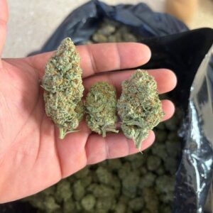 Buy g13 haze​ strain Online