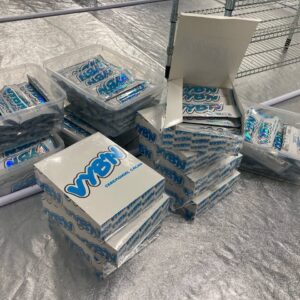 VYBN Mushroom Chocolate Bars with Lion’s Mane, Reishi, and Cordyceps mushrooms, gourmet functional chocolate for focus and energy.