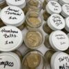Buy Premium Hash Rosin Online