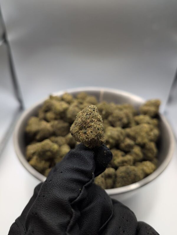 Close-up of Granddaddy Purple cannabis buds showing deep purple hues, orange hairs, and frosty trichomes.