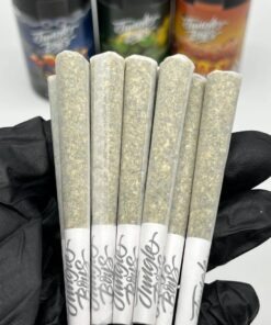 Buy Jungle Boy Pre Rolls Online