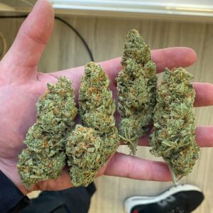 amnesia haze​