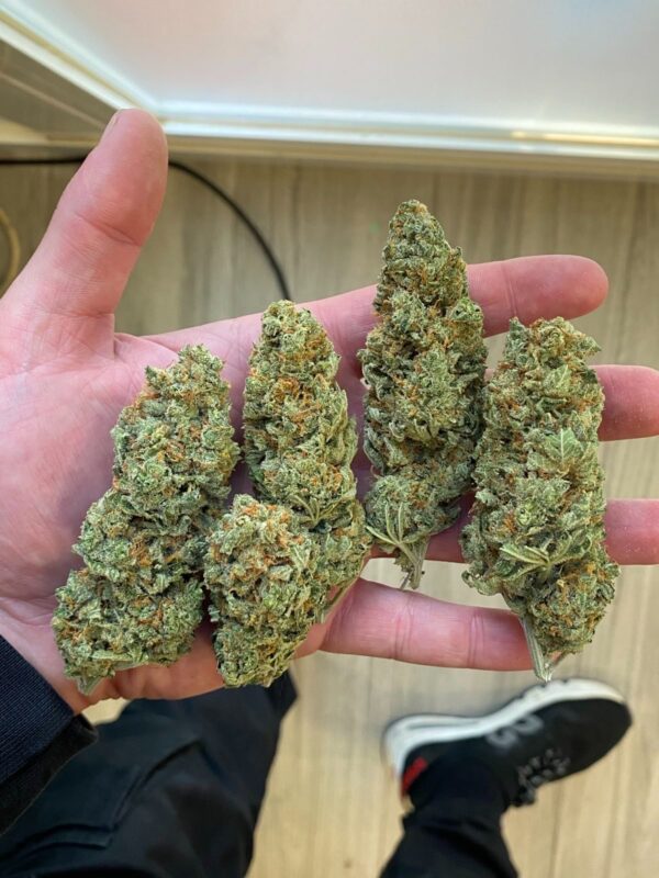 amnesia haze​