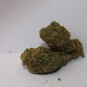 gelato 41 strain