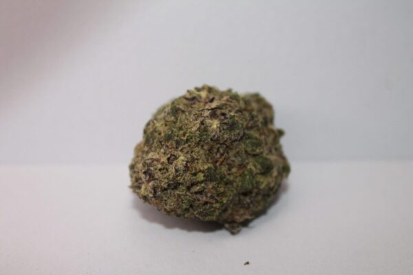 buy Purple Kush strain online