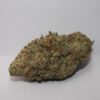 BUY purple punch strain near me