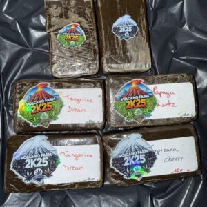 Golden 120U trichome hash – VOLCANO FARM 2K25 premium extract available to buy online