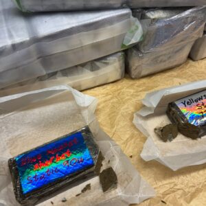 Buy Premium Worker Dry Static Hash – golden solventless hash with rich texture and pure craftsmanship