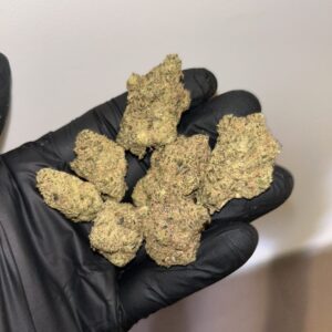 Blue Dream cannabis buds with blue hues and crystal trichomes – buy Blue Dream strain online for relaxation and creativity.