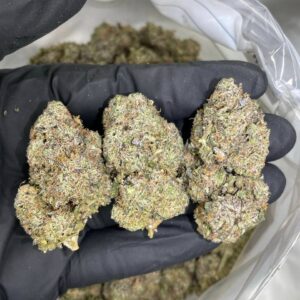 Buy Canada Cali Weed – premium Californian craft cannabis buds with rich aroma and balanced effects