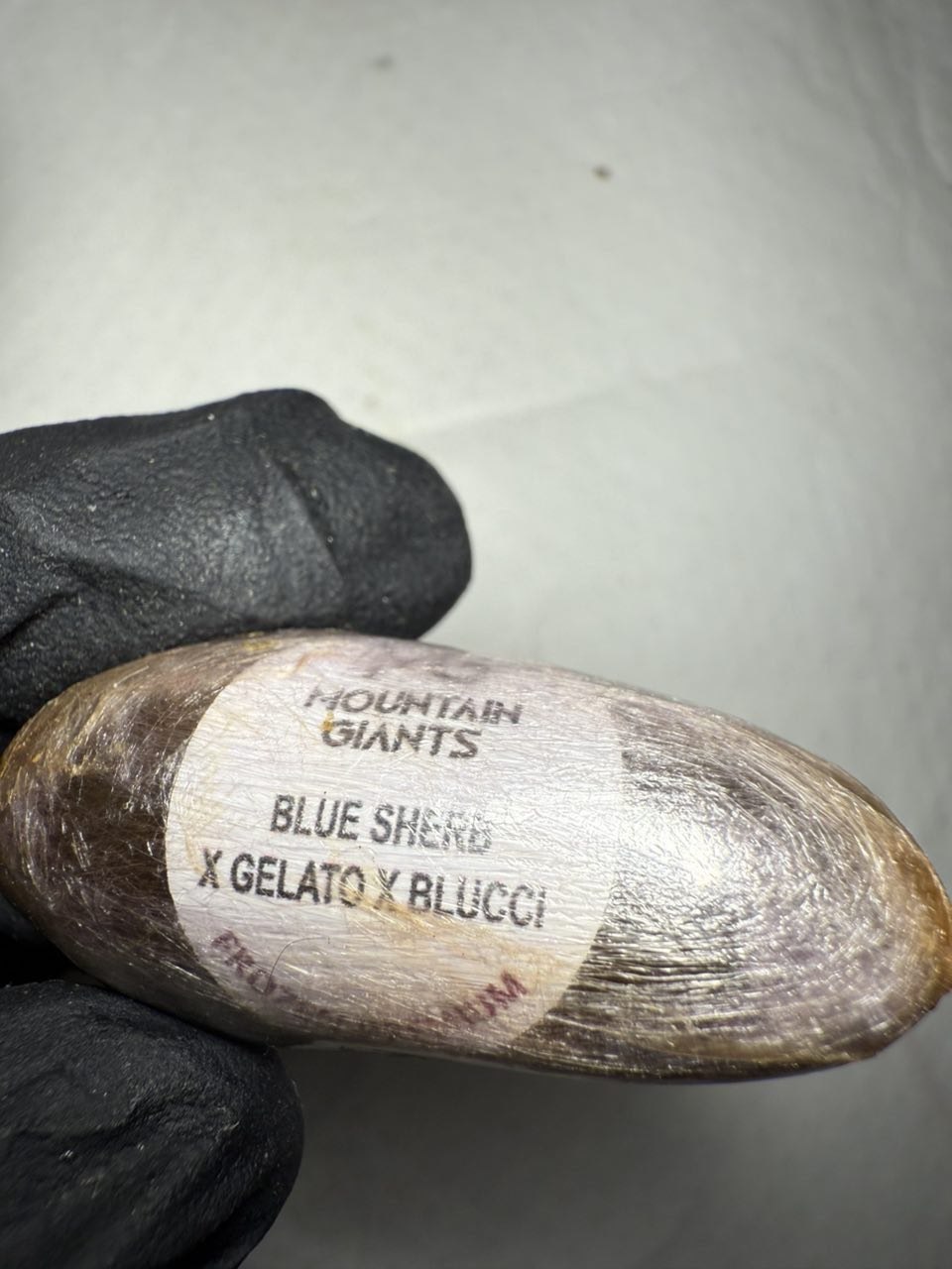 IMAGE 2026-01-29 08:21:54