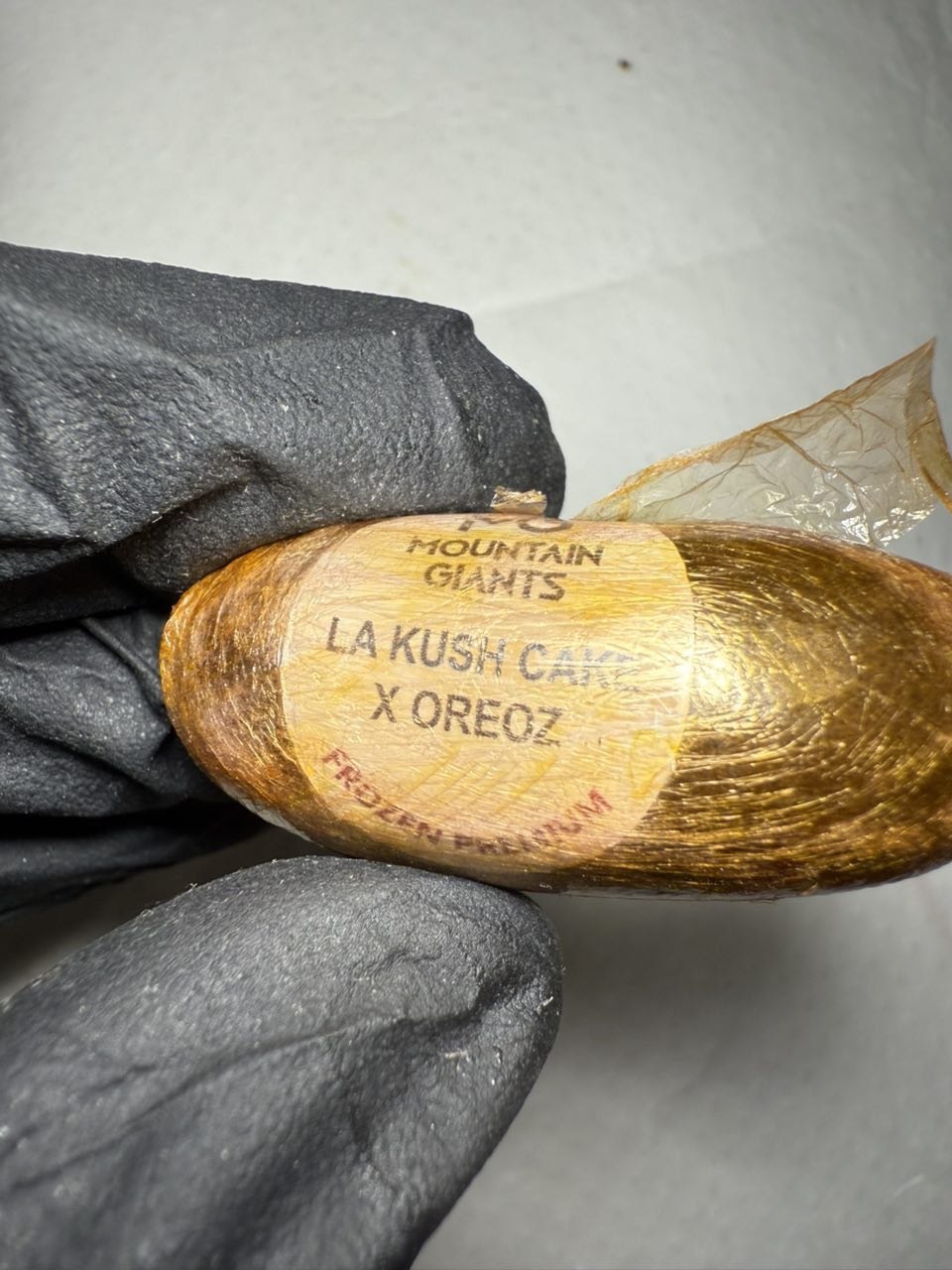 IMAGE 2026-01-29 08:21:58