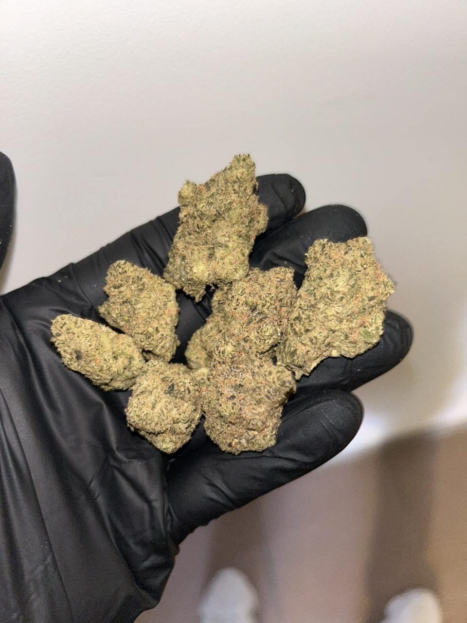 IMAGE 2026-01-29 17:07:22 Buy Blue Dream strain online – balanced hybrid cannabis with uplifting effects, gentle body relaxation, and sweet berry aroma.