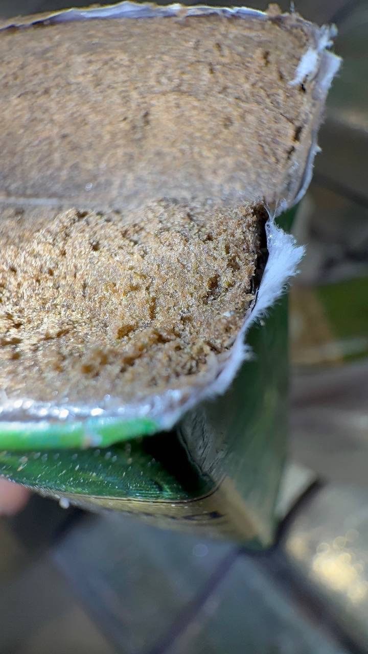 IMAGE 2026-01-30 18:42:16