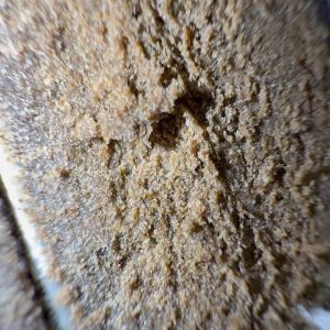 Buy Dry Sift Hash online – traditional dry sift hash with pure trichomes, smooth texture, clean burn, and balanced effects.