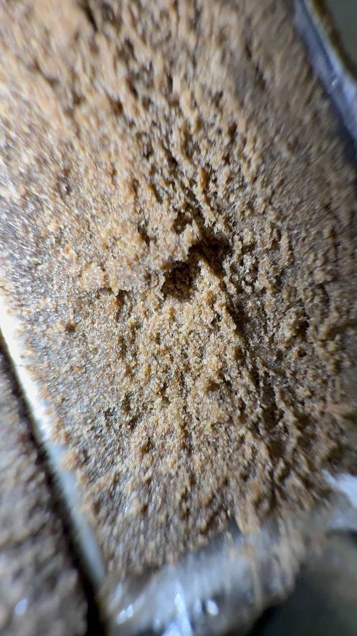 IMAGE 2026-01-30 18:42:21 Buy Dry Sift Hash online – traditional dry sift hash with pure trichomes, smooth texture, clean burn, and balanced effects.