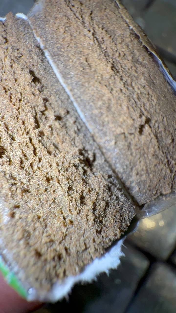 IMAGE 2026-01-30 18:42:23