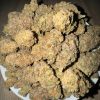 Buy Gelato weed – premium hybrid cannabis buds with sweet creamy flavor and balanced effects