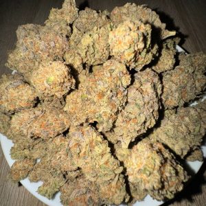 Buy Gelato weed – premium hybrid cannabis buds with sweet creamy flavor and balanced effects