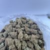 Buy Sour Diesel cannabis strain with pungent diesel aroma and uplifting effects