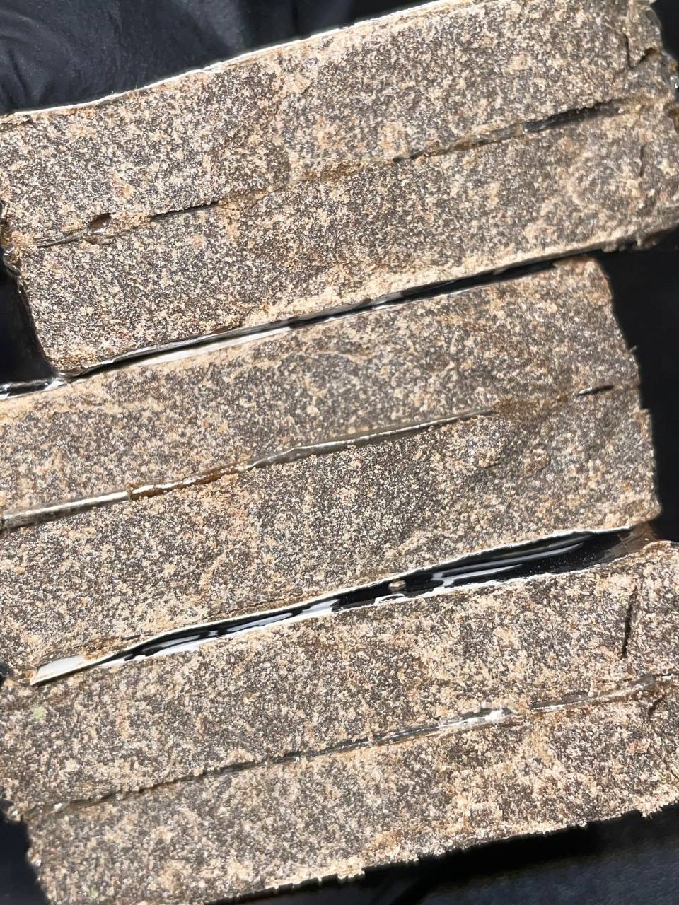 IMAGE 2026-02-11 20:02:48