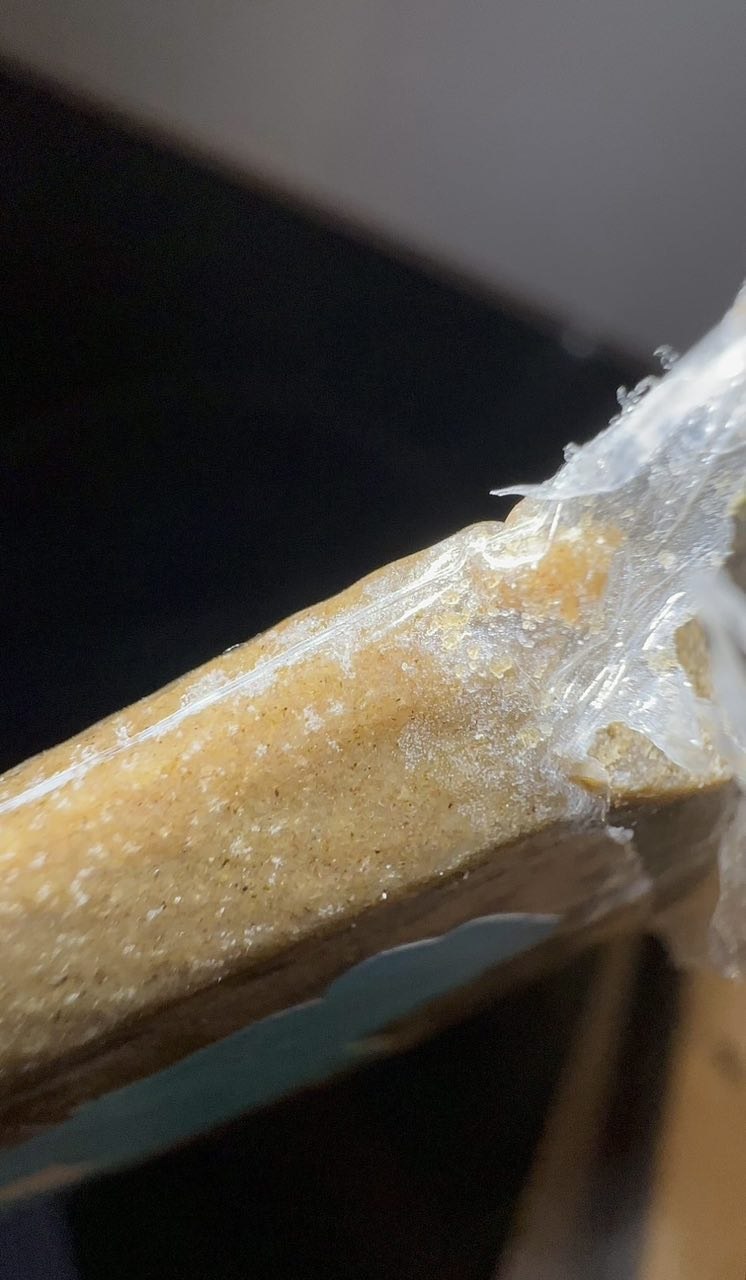 IMAGE 2026-02-11 21:34:55