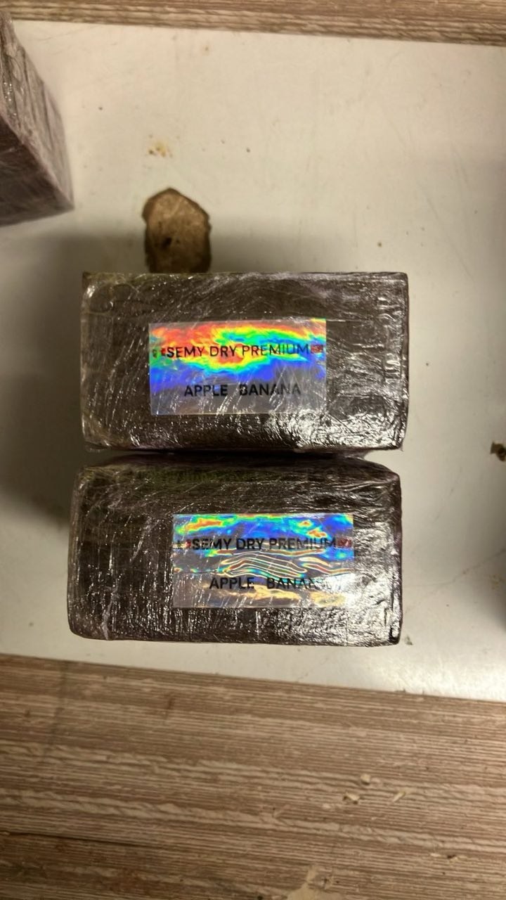 IMAGE 2026-02-19 23:03:49