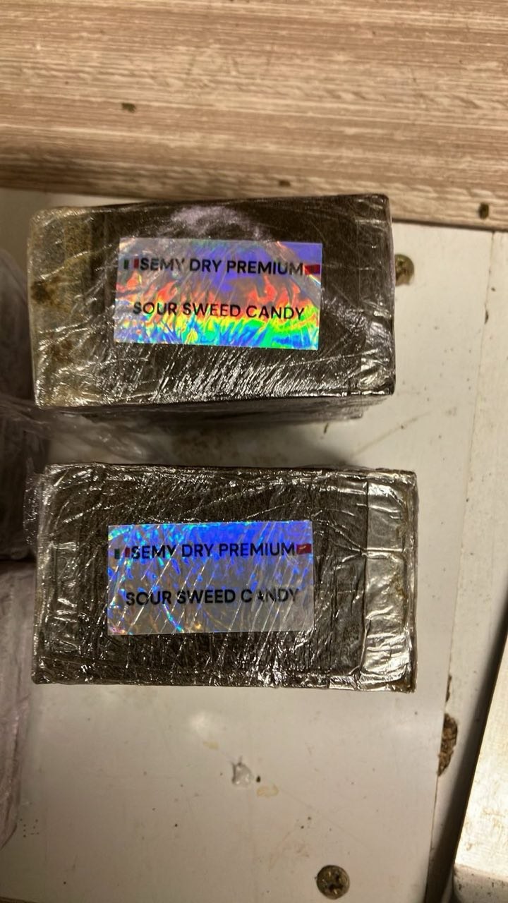 IMAGE 2026-02-19 23:03:53