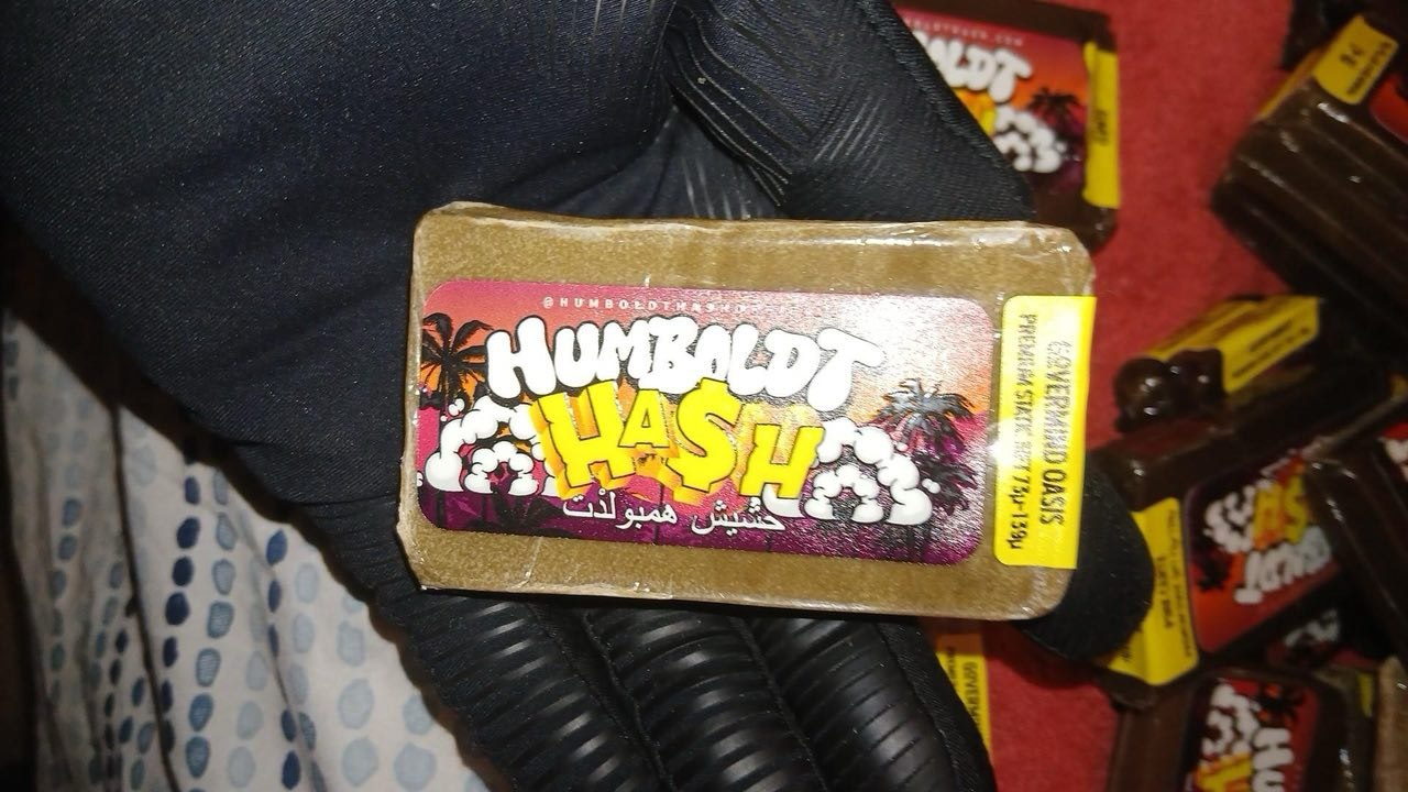 IMAGE 2026-02-20 23:09:33