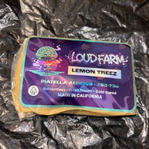 uy piatella hash online showing creamy cold-cured cannabis concentrate with rich terpene profile.